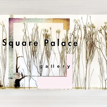 S Q U A Re Palace Gallery//apartment * Bucharest